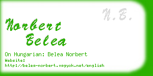 norbert belea business card